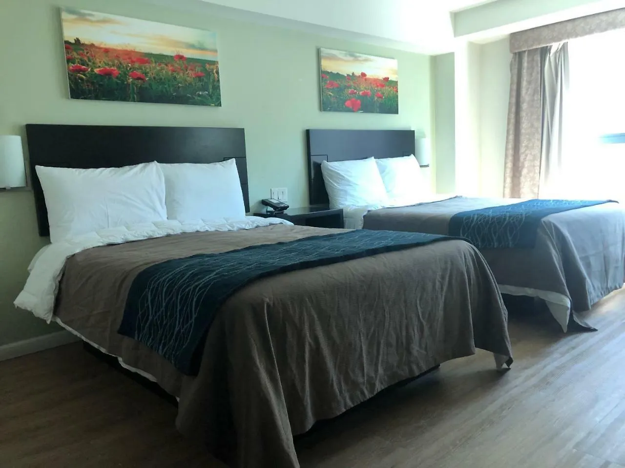 Comfort Inn & Suites - Kew Gardens Near La Guardia Airport New York Hotel