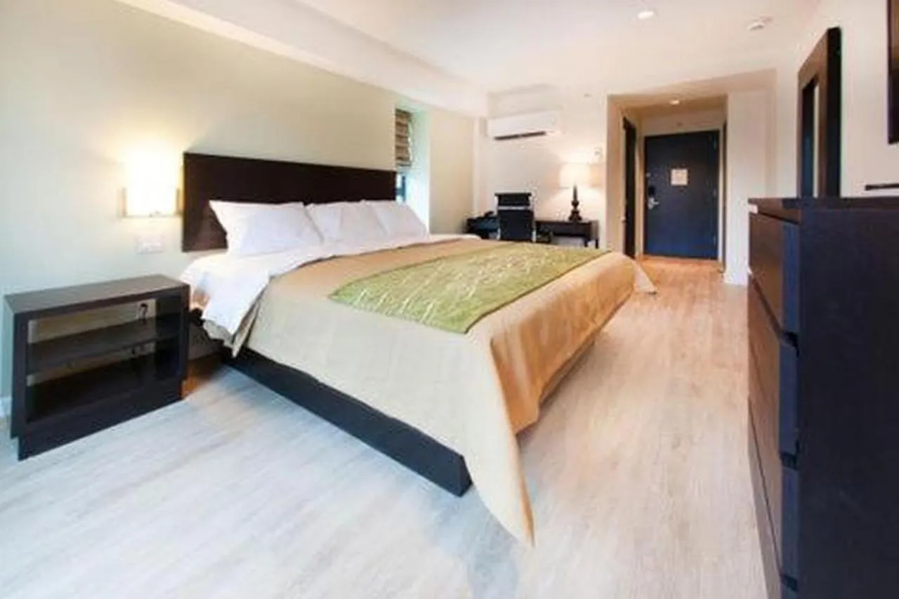 Hotel Comfort Inn & Suites - Kew Gardens Near La Guardia Airport New York